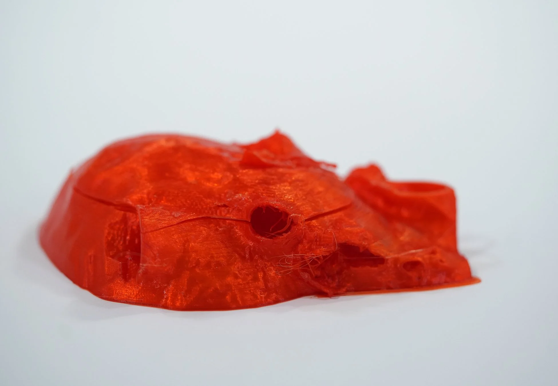 MRI Cross Section 3D Printed Heart — AGENT GALLERY CHICAGO